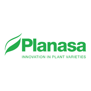 Planasa_C
