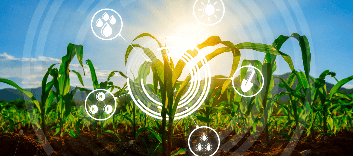 Cómo la Agricultura 4.0 puede mejorar la seguridad alimentaria