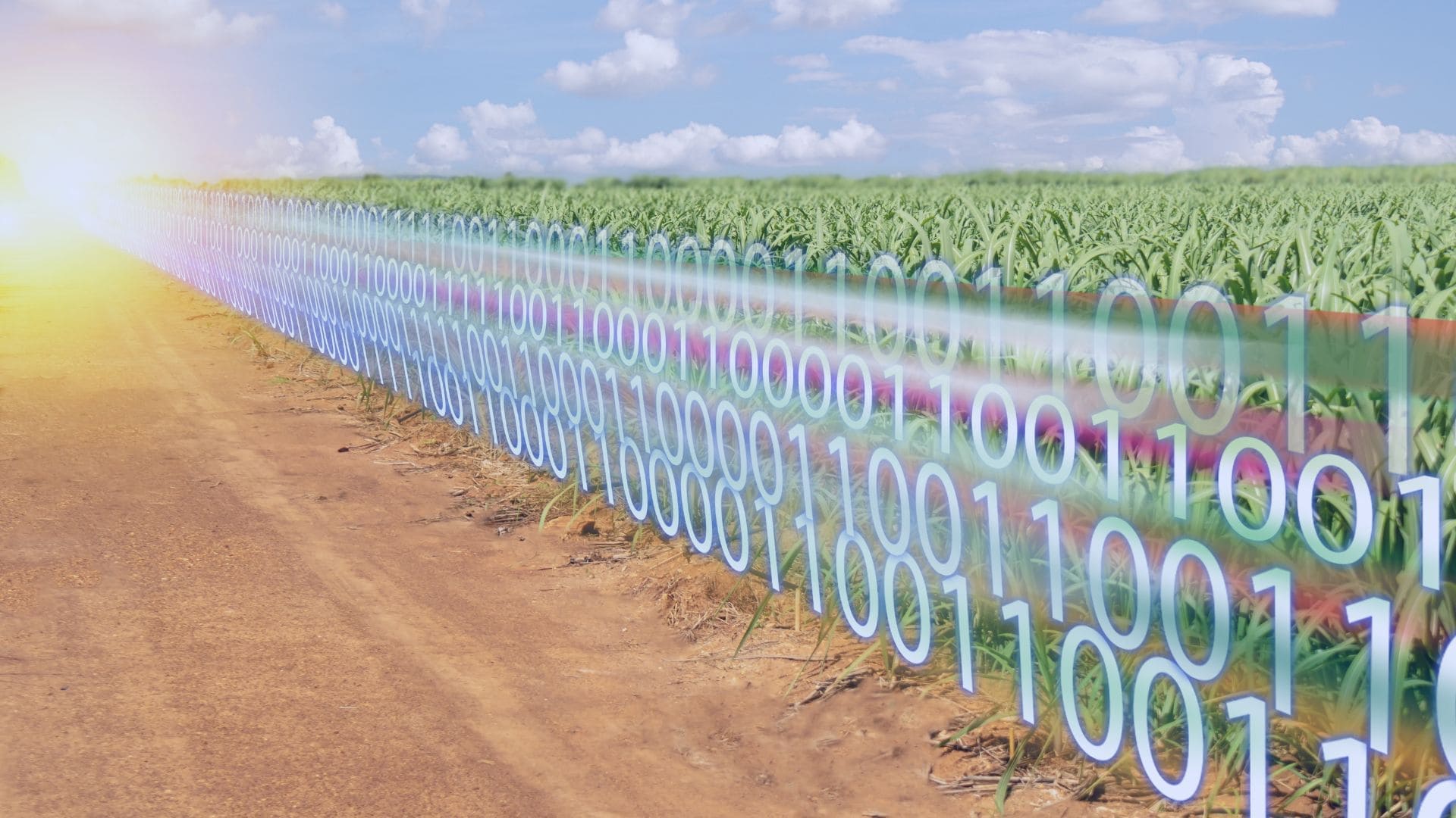 Inteligencia Artificial para transformar la agricultura