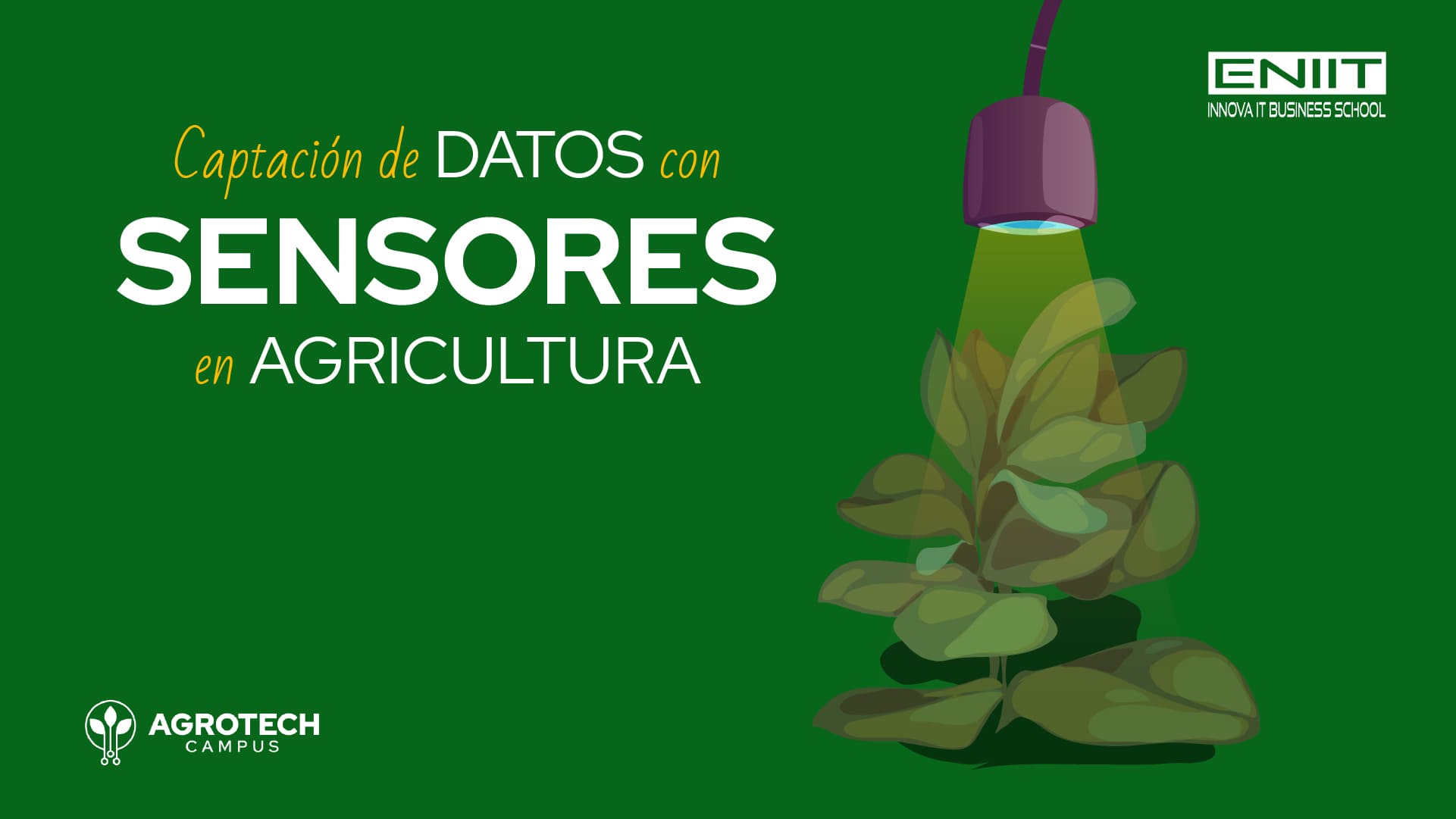 Captación de datos con sensores en agricultura
