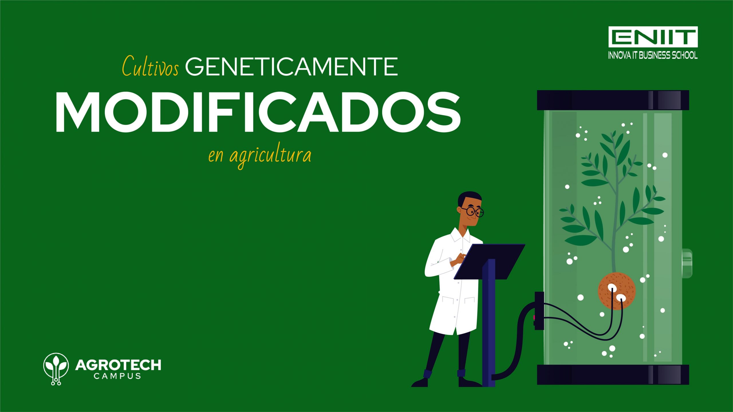 Cultivos genéticamente modificados en agricultura