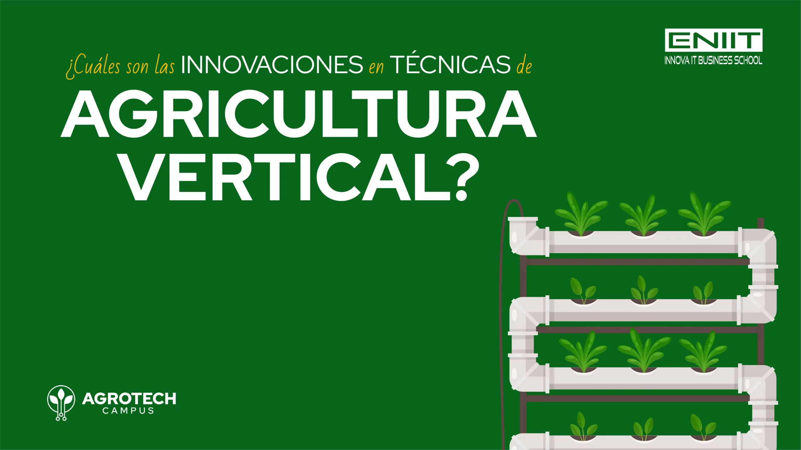 ¿Cuáles son las innovación en técnicas de agricultura vertical?