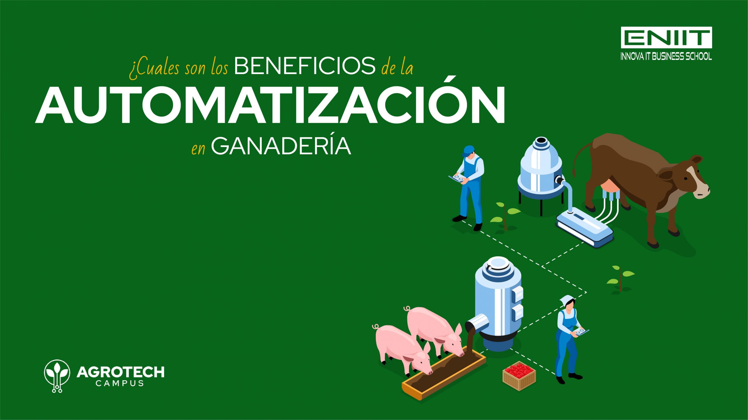 Cuáles son los beneficios de la automatización en ganadería
