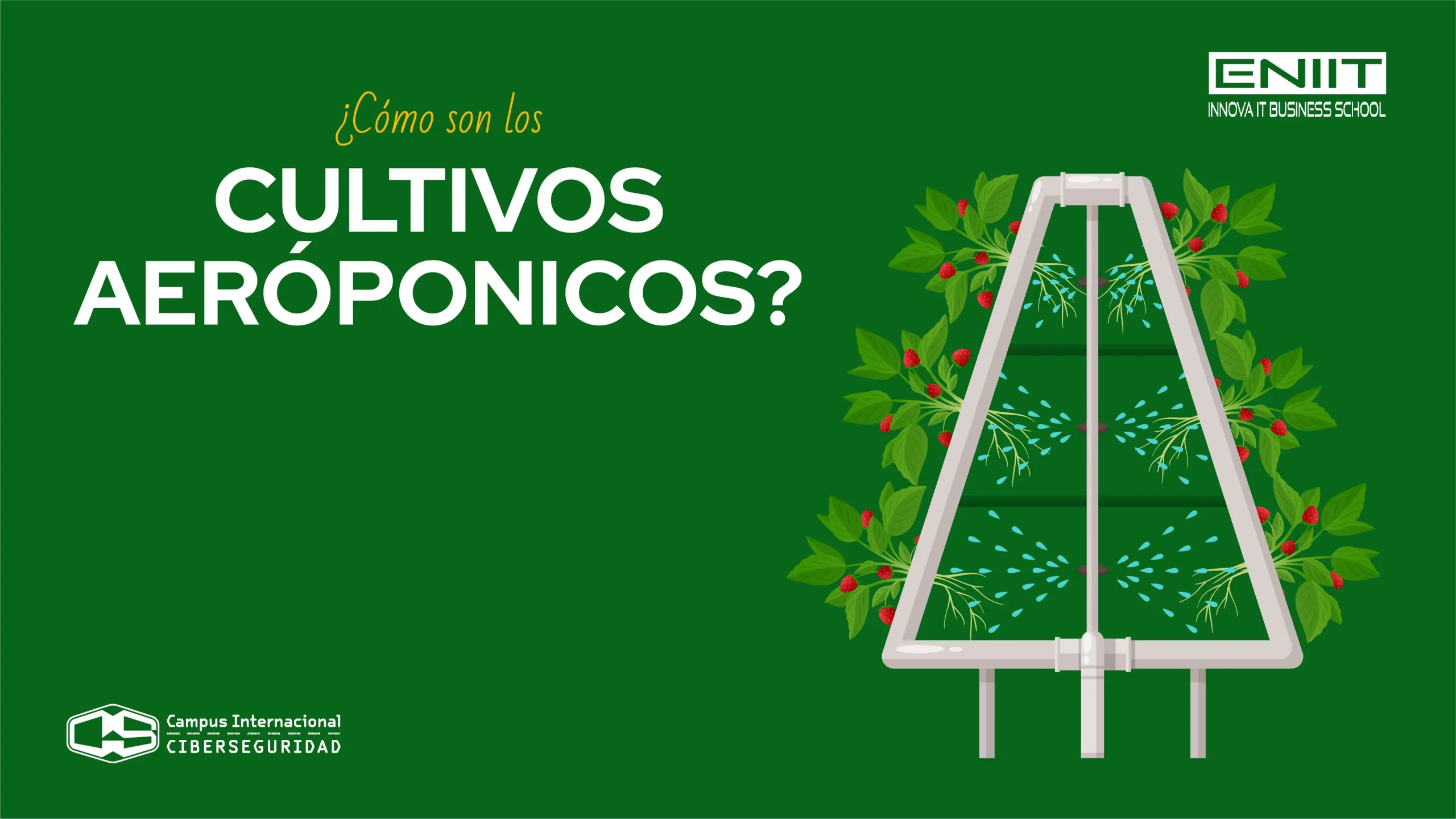 ¿Qué son los cultivos aeropónicos?