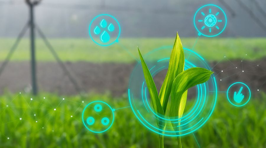 gemelos digitales de los cultivos