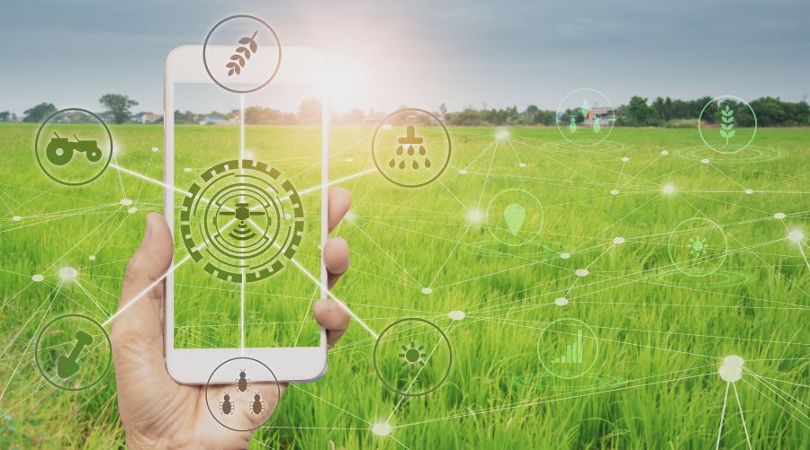 Agricultura predictiva