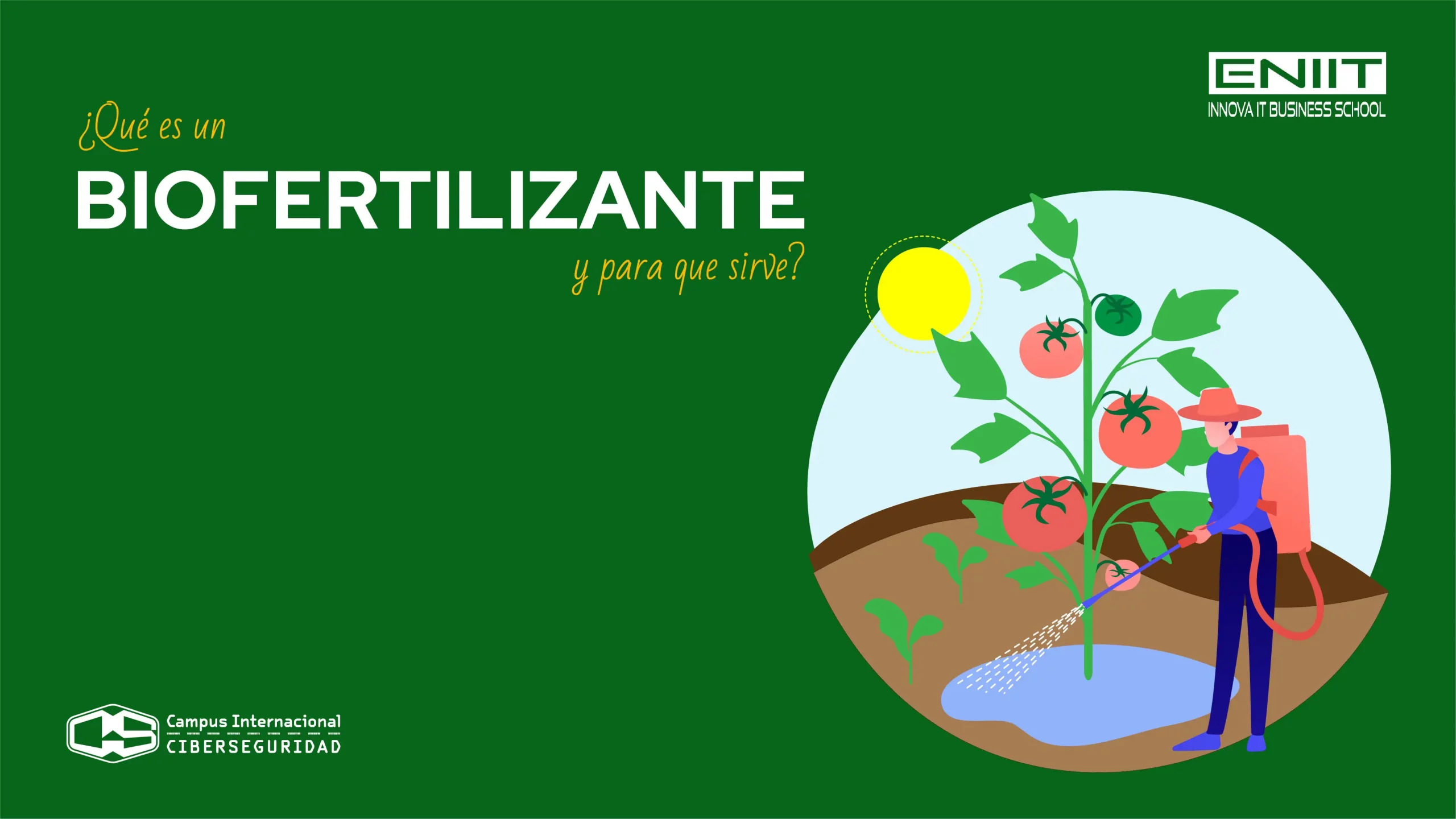 ¿Qué es un biofertilizante y para qué sirve?