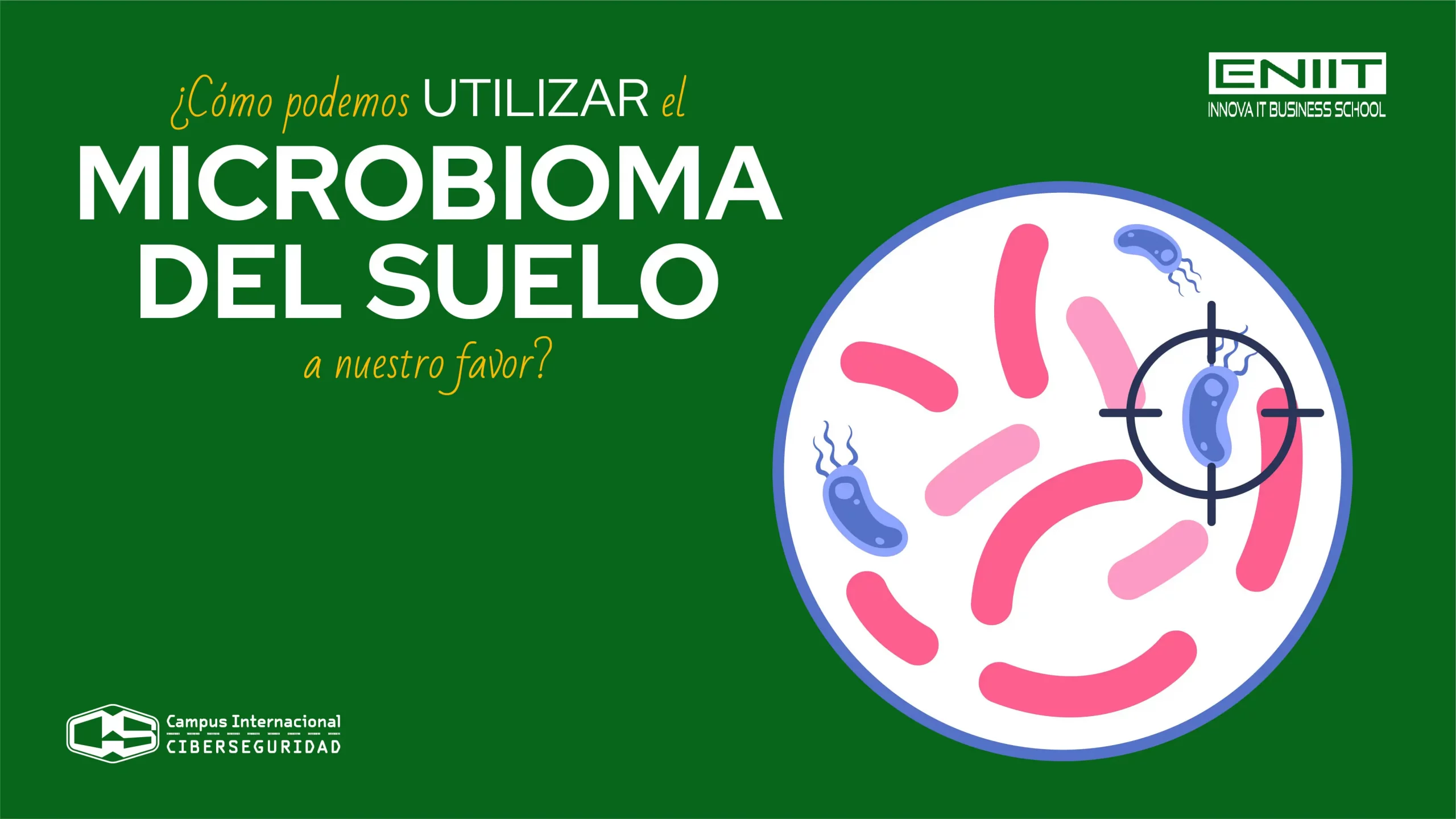 Cómo podemos utilizar el microbioma del suelo a nuestro favor