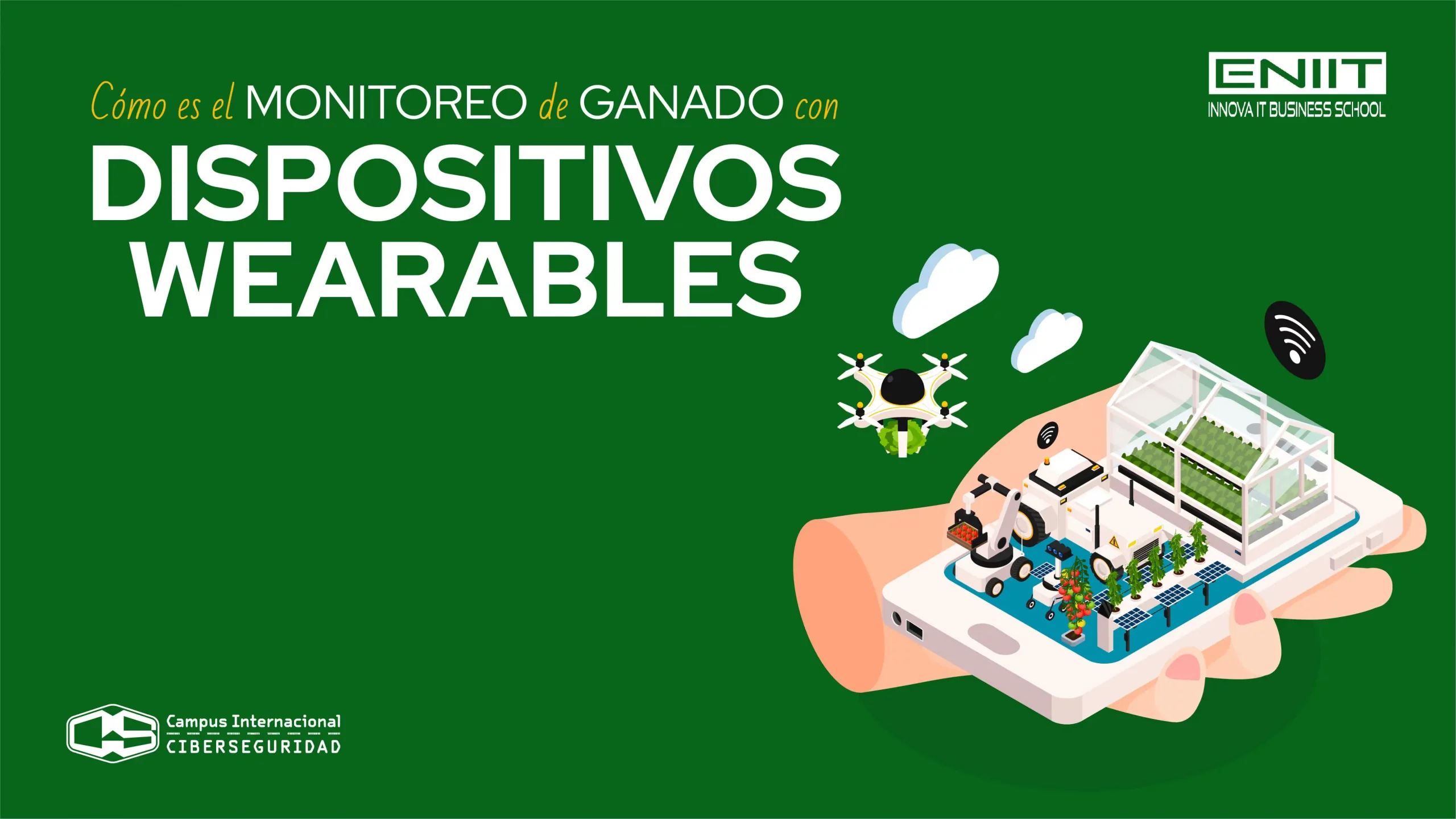 ¿Cómo es el monitoreo de ganado con dispositivos wearables?