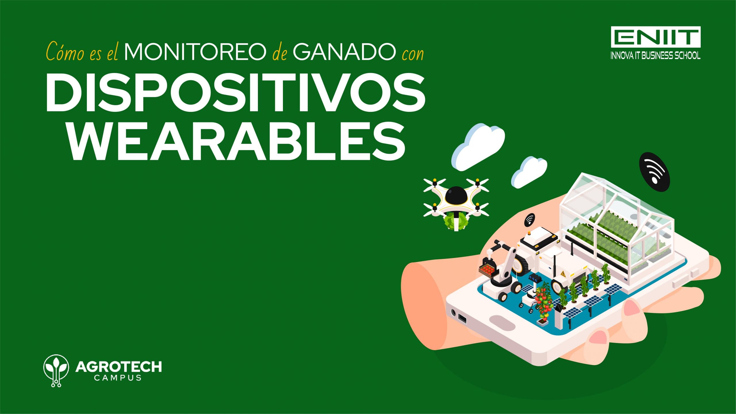 Cómo es el monitoreo de ganado con dispositivos wearables