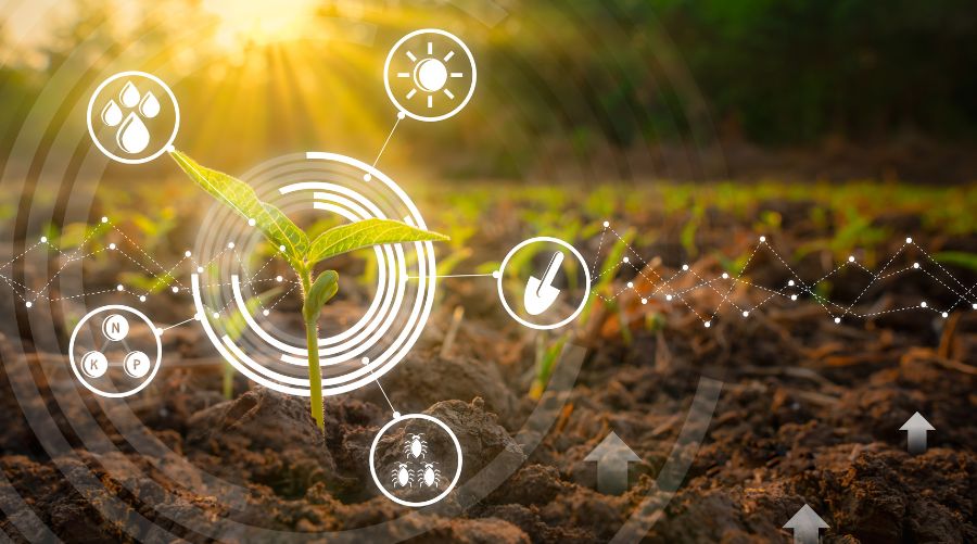 5G en la agricultura