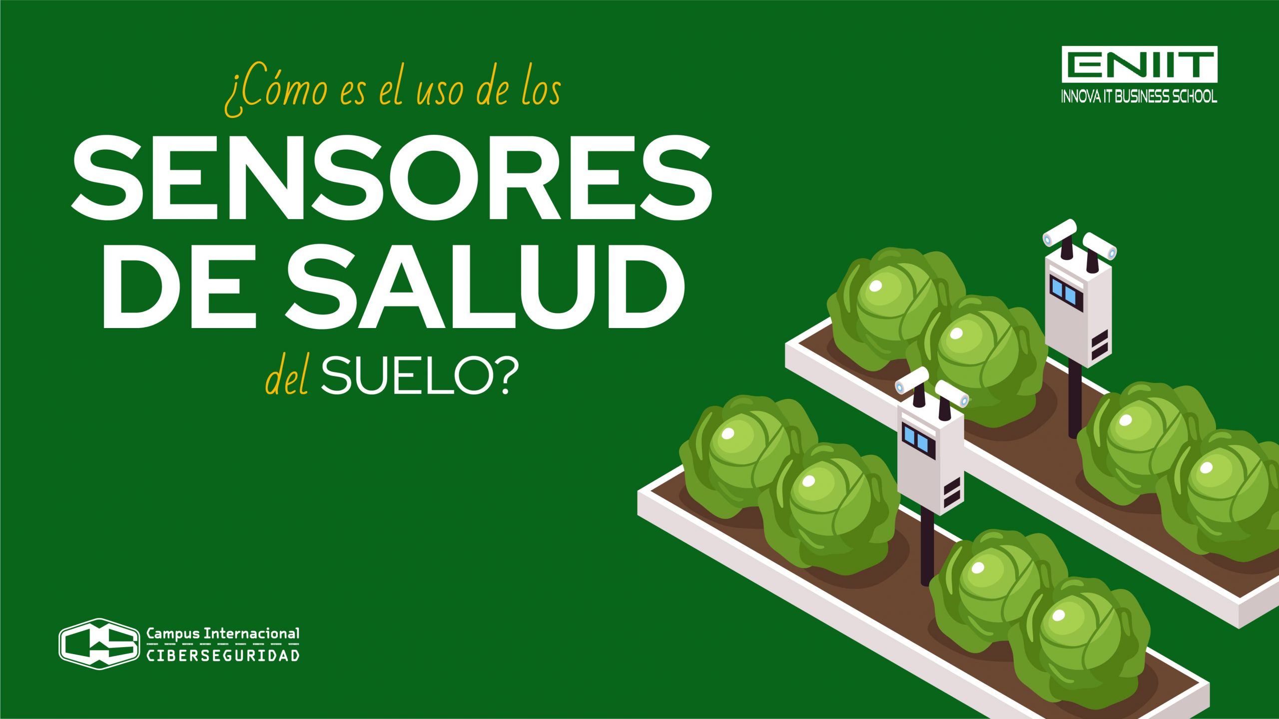 ¿Cómo es el uso de los sensores de salud del suelo?