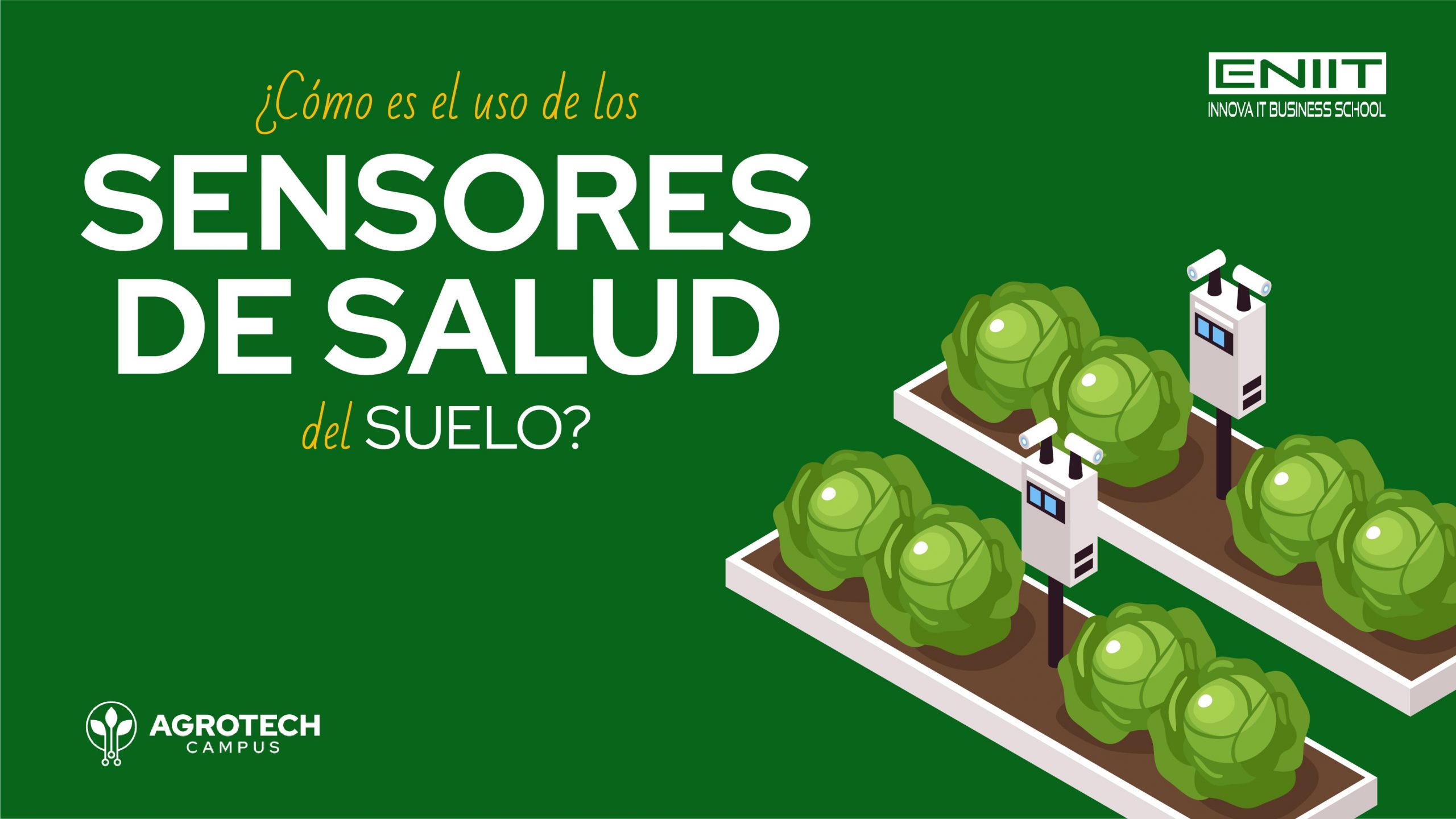 sensores de salud del suelo
