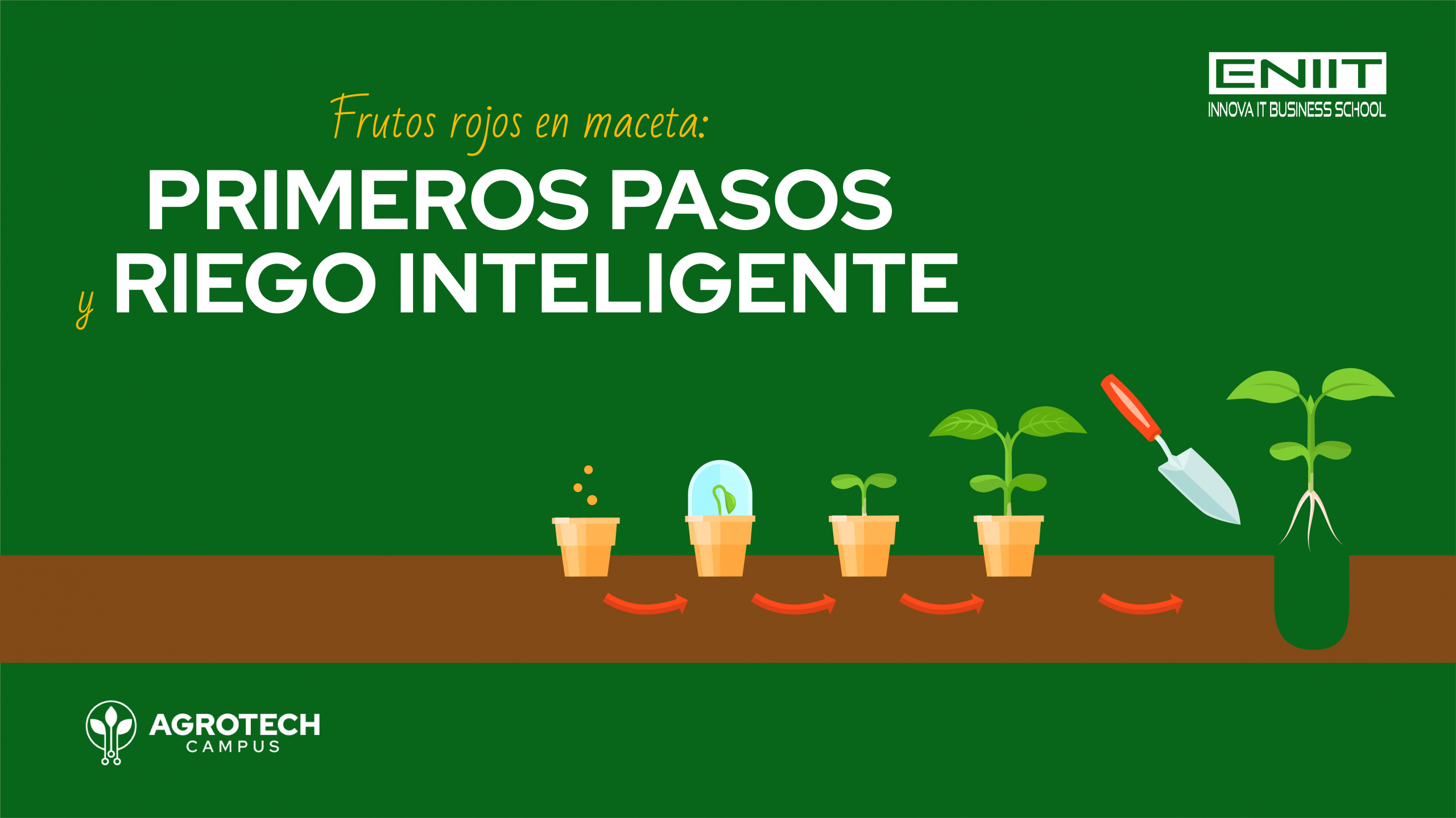 Frutos Rojos en Maceta Primeros Pasos y Riego Inteligente