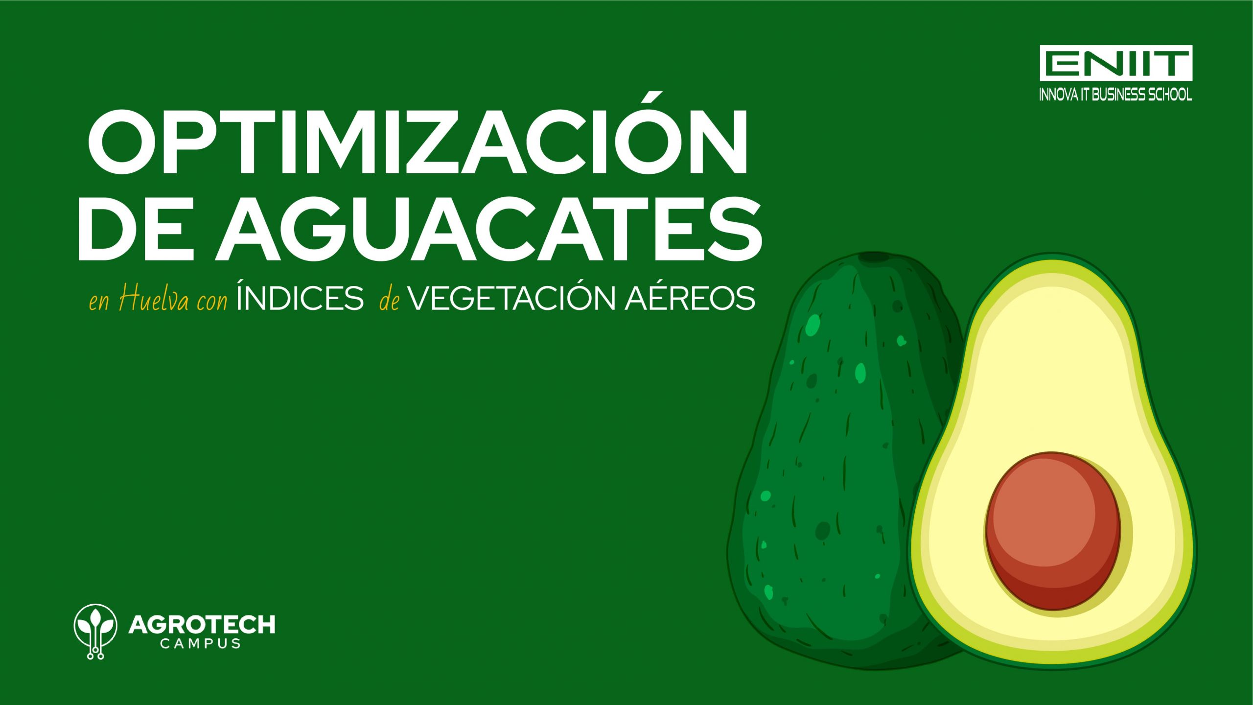 Optimización de aguacates en Huelva con índices de vegetación aéreos