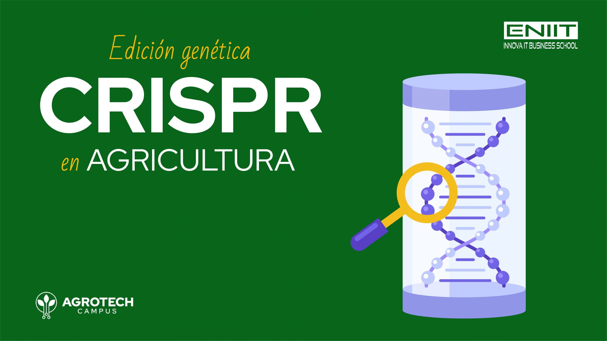 Edición genética CRISPR en agricultura