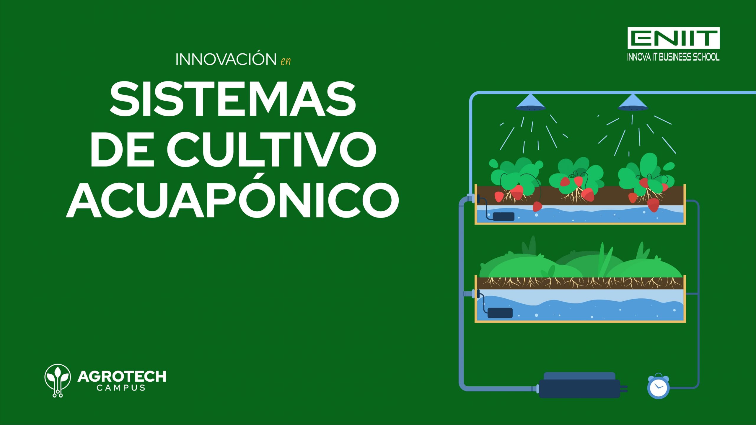 Sistemas de cultivo acuapónico y agricultura sostenible